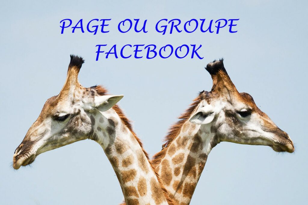 Que choisir : groupe ou page facebook